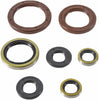 WINDEROSA OIL SEAL SET 822372