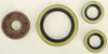 WINDEROSA OIL SEAL SET 822374