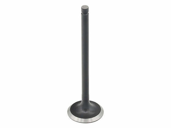 BRONCO EXHAUST VALVE CAN AU-09226E