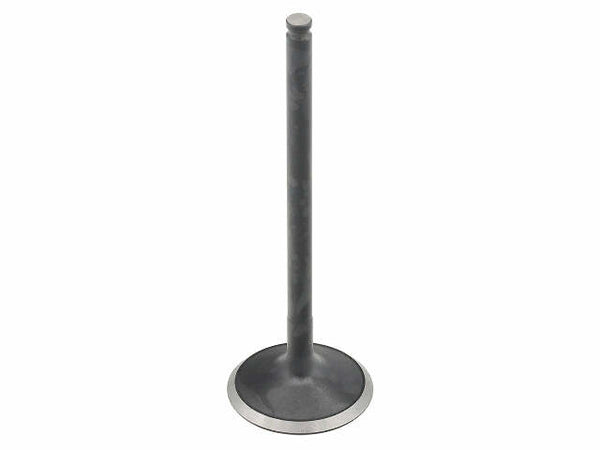 BRONCO EXHAUST VALVE POL AU-09228E
