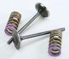 PROX INTAKE VALVE CONVERSION SET TI-STEEL HON 28.SIS1336-2