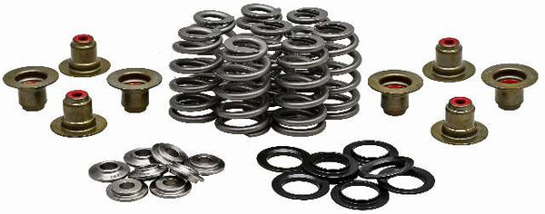 KPMI RACING VALVE SPRING KIT .625 LIFT TITANIUM RETAINERS 20-21800
