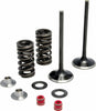 KPMI INTAKE VALVE SPRING KIT 30-31200