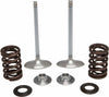 KPMI INTAKE VALVE SPRING KIT 40-40350