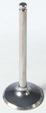 KPMI EXHAUST VALVE 80-80217T
