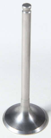KPMI EXHAUST TI VALVE 80-80876T