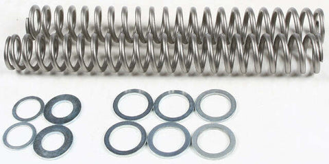 RACE TECH FORK SPRING 1.10KG FRSP S4031110