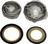 ALL BALLS STEERING BEARING/SEAL KIT 22-1038
