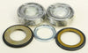 ALL BALLS STEERING BEARING/SEAL KIT 22-1066