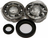 ALL BALLS CRANKSHAFT BEARING/SEAL KIT 24-1004