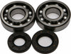 ALL BALLS CRANKSHAFT BEARING/SEAL KIT 24-1009