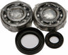 ALL BALLS CRANKSHAFT BEARING/SEAL KIT 24-1030