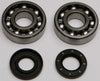ALL BALLS CRANKSHAFT BEARING/SEAL KIT 24-1062