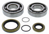 ALL BALLS CRANKSHAFT BEARING / SEAL KIT GAS 24-1118