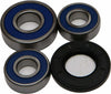 ALL BALLS WHEEL BEARING & SEAL KIT 25-1270
