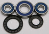 ALL BALLS WHEEL BEARING & SEAL KIT 25-1282