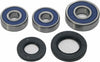 ALL BALLS WHEEL BEARING & SEAL KIT 25-1546