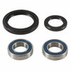 ALL BALLS FRONT WHEEL BEARING/SEAL KIT 25-1753