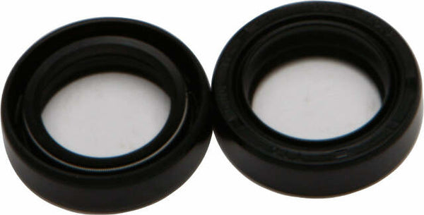 ALL BALLS FORK SEAL KIT 55-101