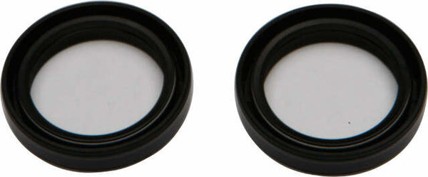 ALL BALLS FORK SEAL KIT 55-160