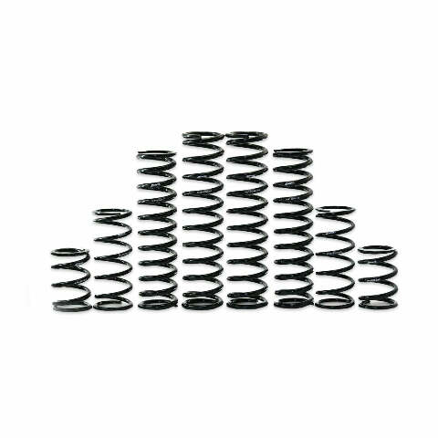 ZBROZ DUAL RATE SPRING KIT KAW K30-KA1001-0