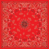 ZAN BANDANNA RED PAISLEY B003
