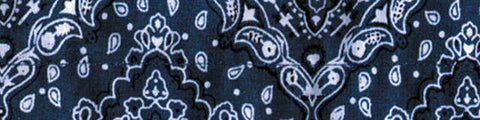 ZAN COOLDANNA PAISLEY NAVY DC111