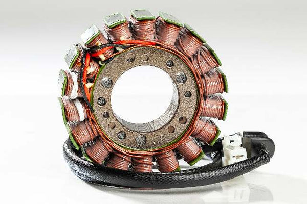 RICKS STATOR 21-010