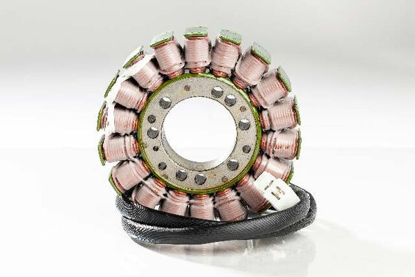 RICKS STATOR 21-011