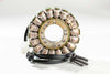 RICKS STATOR 21-014