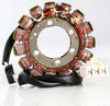 RICKS STATOR 21-030