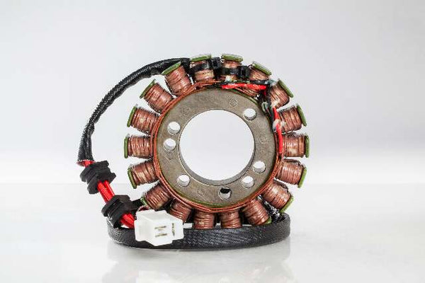 RICKS STATOR 21-116