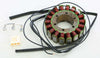 RICKS STATOR 21-137