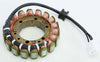 RICKS STATOR 21-217