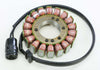RICKS STATOR 21-221