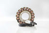 RICKS STATOR 21-236