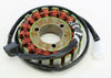 RICKS STATOR 21-306