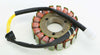 RICKS STATOR 21-308