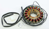 RICKS STATOR 21-309