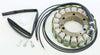 RICKS STATOR 21-316