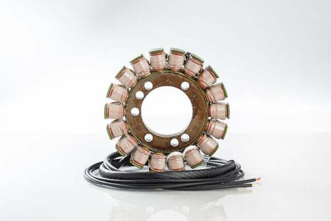 RICKS STATOR 21-322