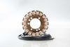RICKS STATOR 21-322
