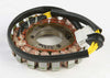 RICKS STATOR 21-336