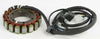 RICKS STATOR 21-337