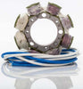 RICKS STATOR 21-636