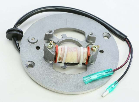 RICKS STATOR 21-906