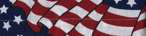 ZAN COOLDANNA WAVY AMERICAN FLAG DC265