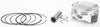 WISECO PISTON KIT ARMORGLIDE 92.00/STD 10.5:1 HON 40244M09200