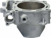 CYLINDER WORKS CYLINDER ONLY 96.00/STD KAW 30011