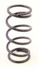 SPEEDWERX SPRING- PRIMARY 180-300 ARCTIC/POLARIS CCH5-B-180-300